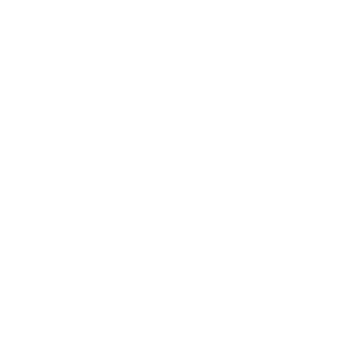 Professional Network