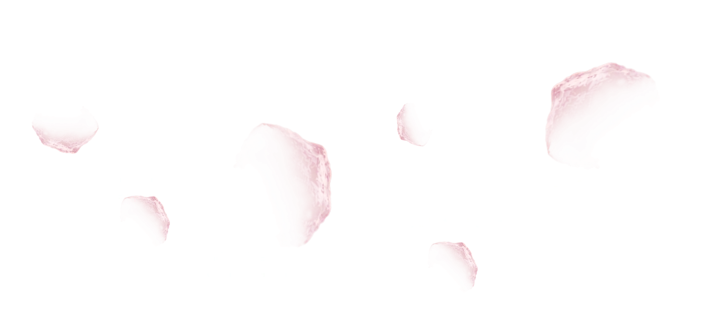 Skillverse You Acually Master